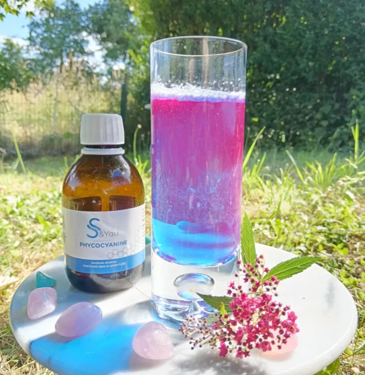 Phycocyanine, Bourg-en-Bresse, Marguin Bérengère
