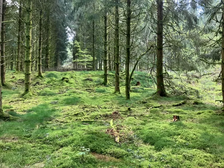 Apprendre à lâcher-prise pendant une retraite de ressourcement dans le Morvan , Bourg-en-Bresse, Marguin Bérengère