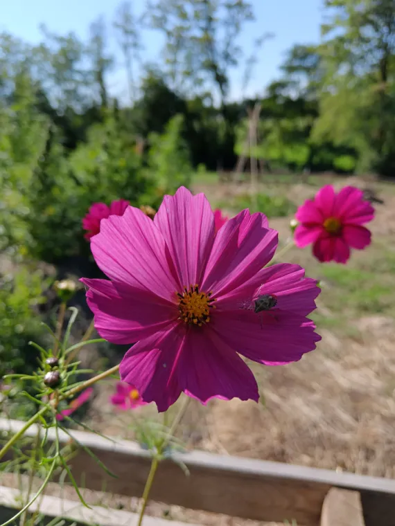 Séjour bien-être et sophrologie vers Les Plans d'Hotonnes, Bourg-en-Bresse, Marguin Bérengère